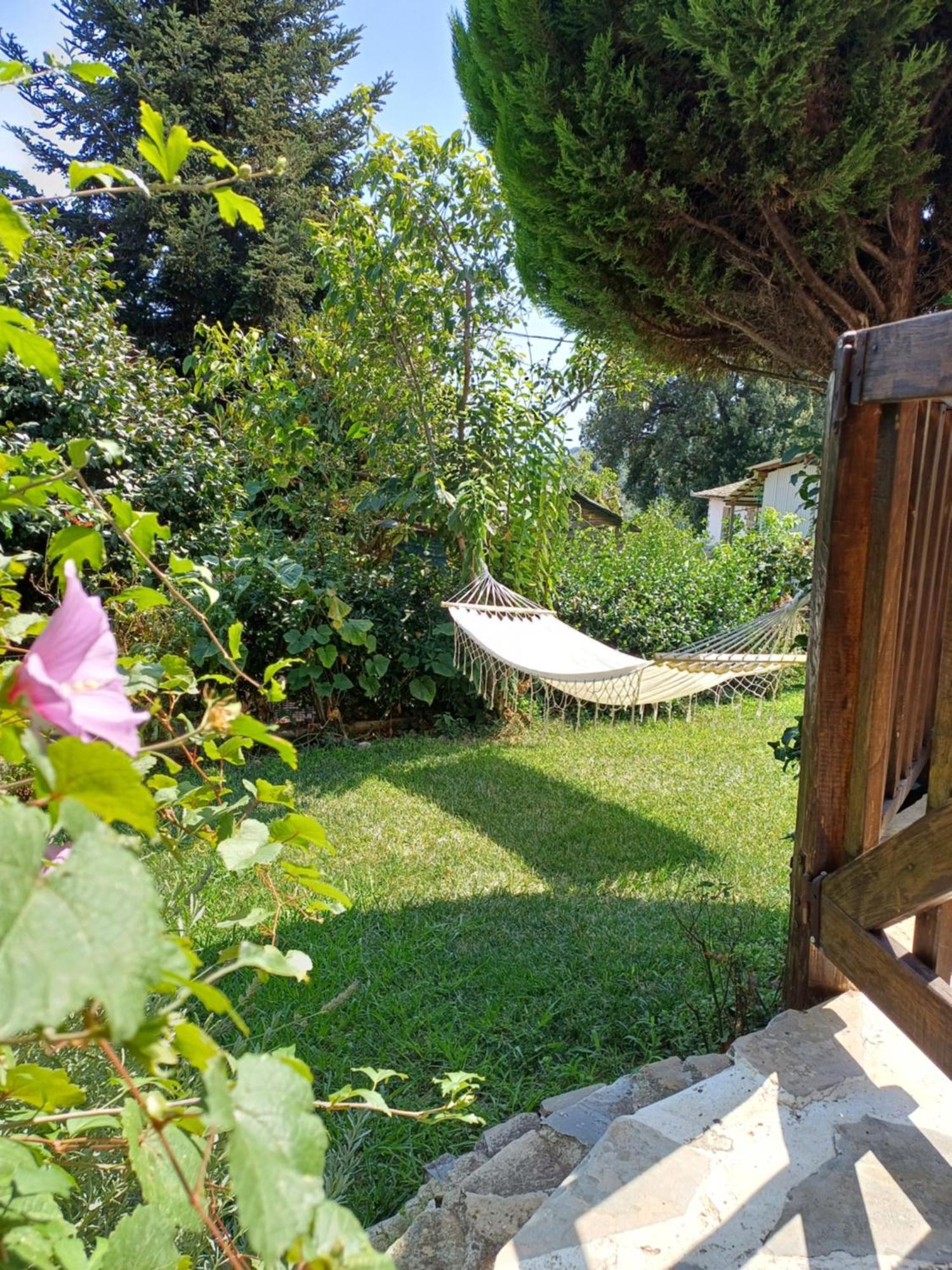 Efi'S Guest House Áyios Dhimítrios Buitenkant foto